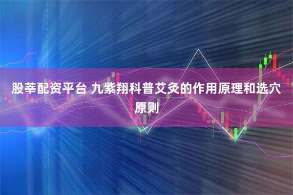 股莘配资平台 九紫翔科普艾灸的作用原理和选穴原则