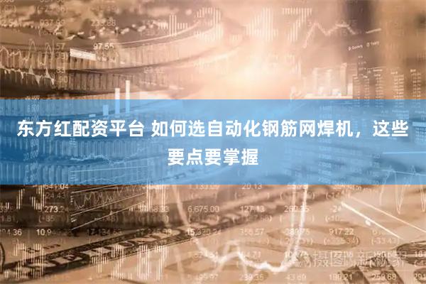 东方红配资平台 如何选自动化钢筋网焊机，这些要点要掌握